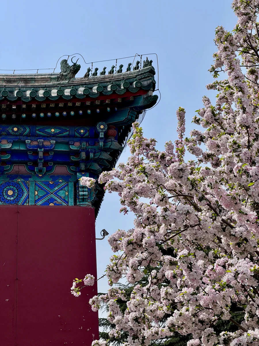 Beijing 01a_Peking_BestOf - 15 of 52.jpeg